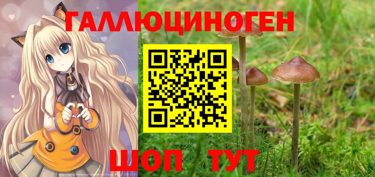 Галлюциногенные грибы ЛСД Добрянка